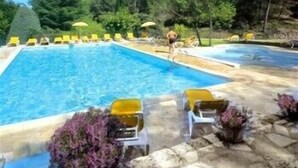 Une piscine entourée d’arbres et de verdure, avec des chaises longues jaunes et des parasols.