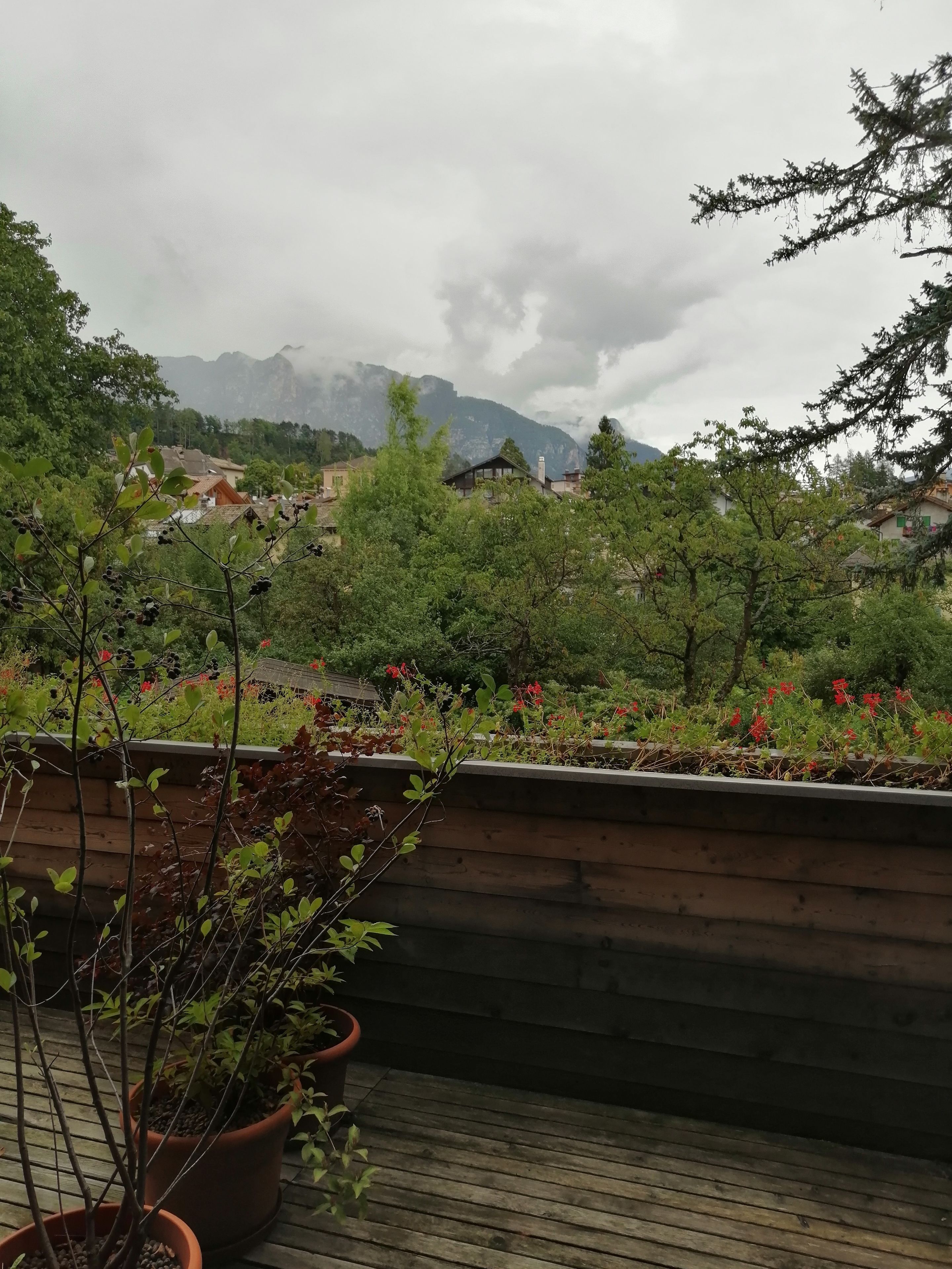 Vista desde la habitación