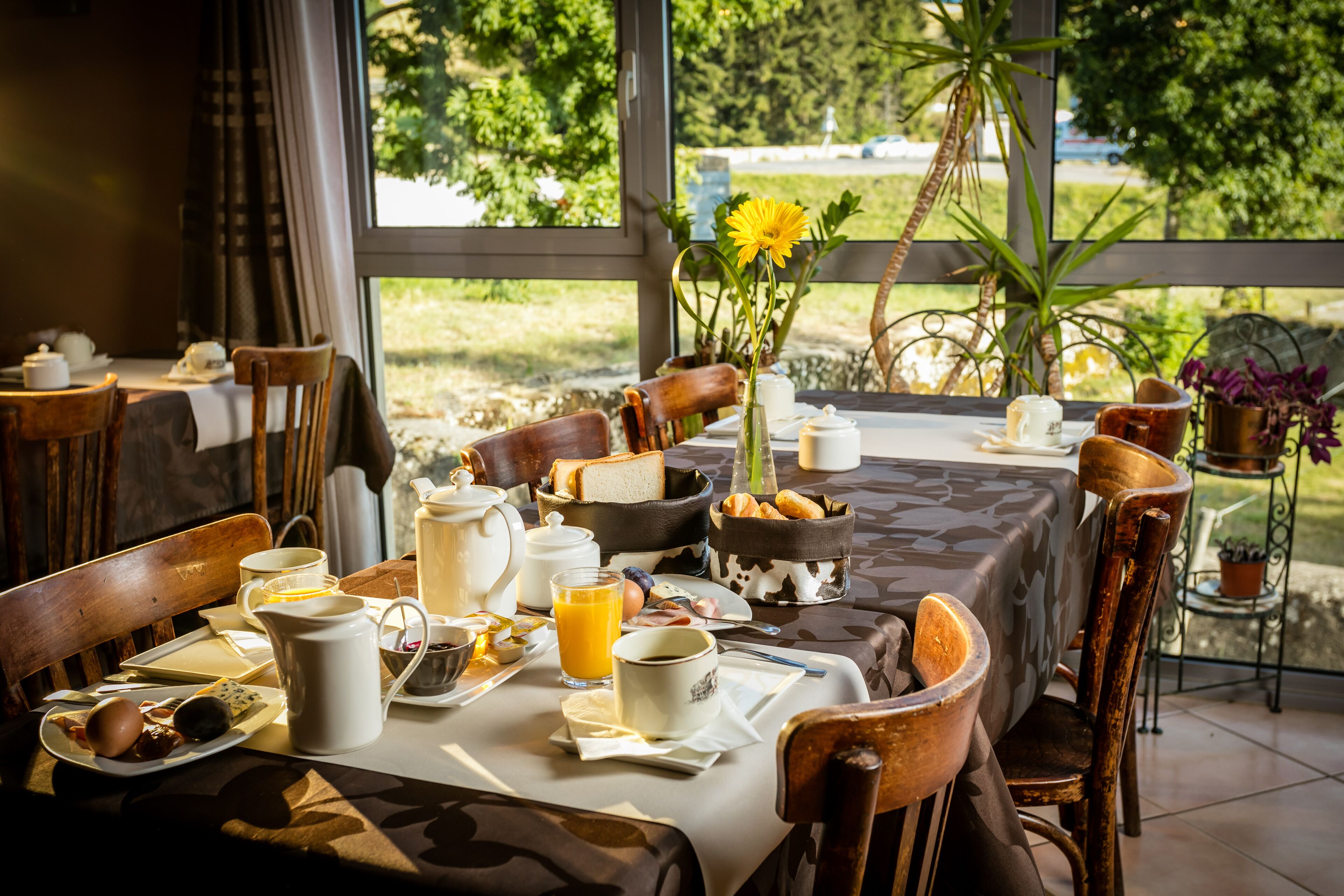 daily buffet breakfast (eur 13 per person)