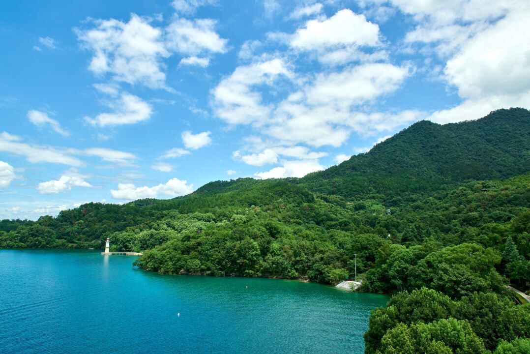 Camera Premium, 2 letti singoli, vista lago (Lighthouse) | Minibar, una cassaforte in camera, una scrivania, postazione laptop