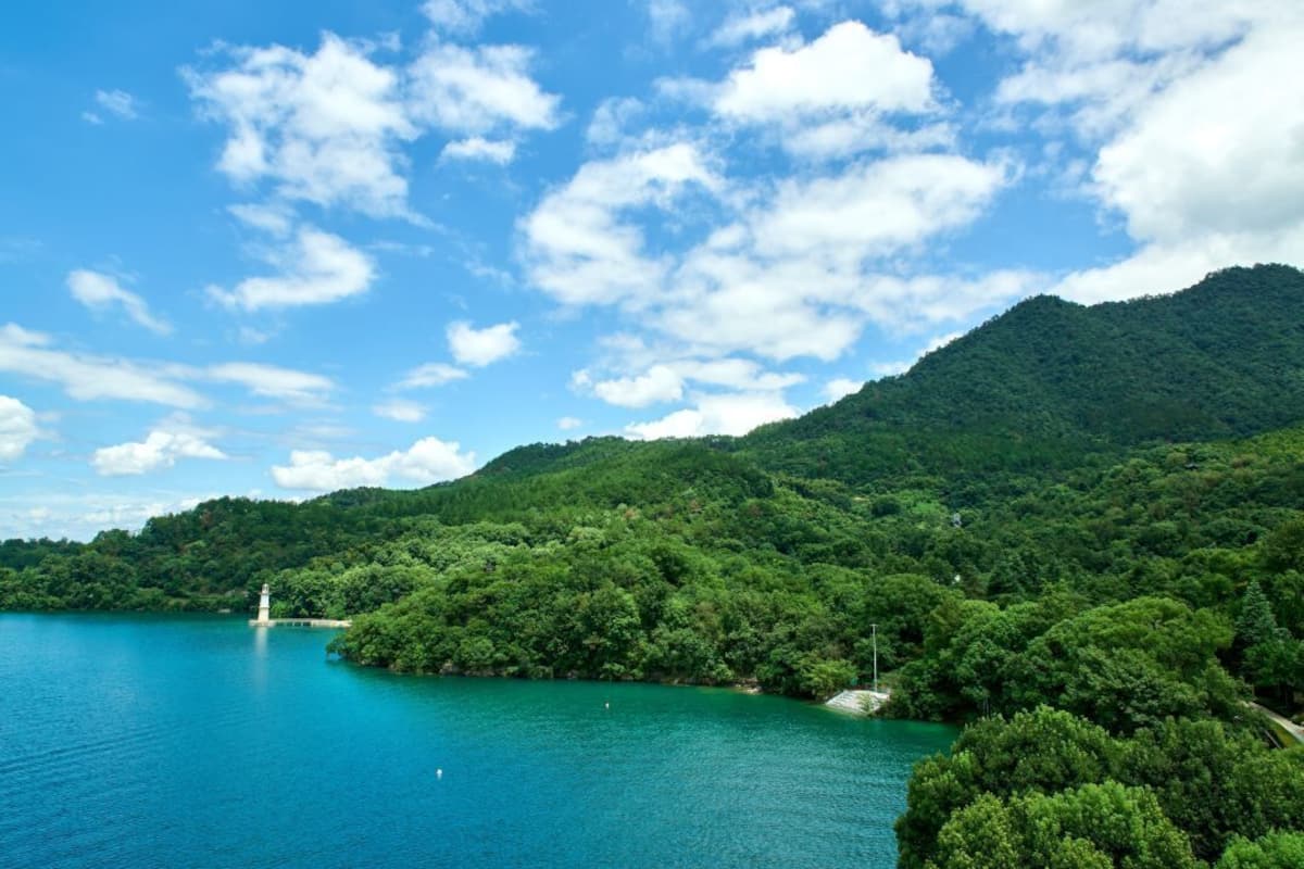 Camera Premium, 2 letti singoli, vista lago (Lighthouse) | Minibar, una cassaforte in camera, una scrivania, postazione laptop