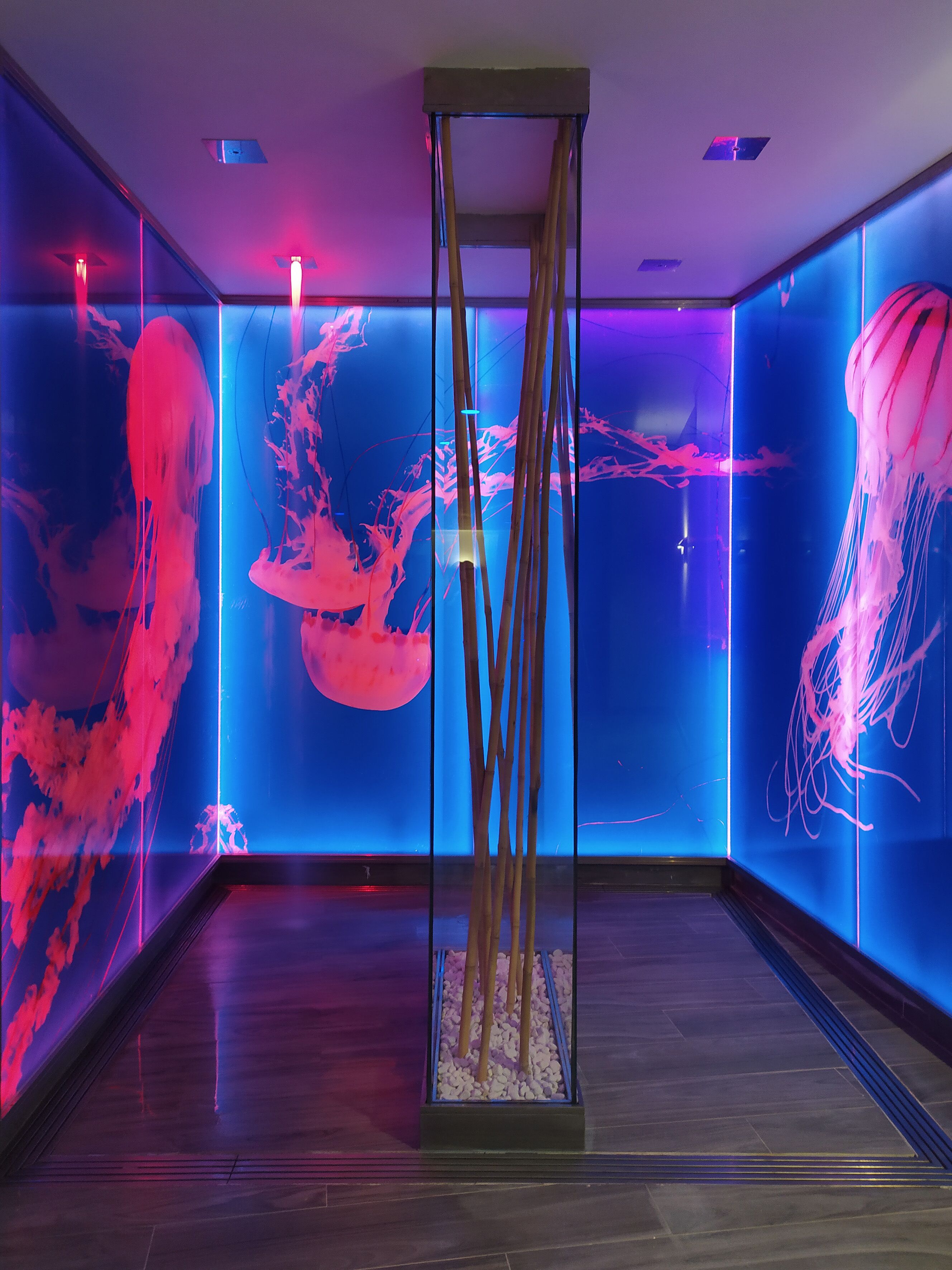 body treatments, aromatherapy, 1 treatment room, massages