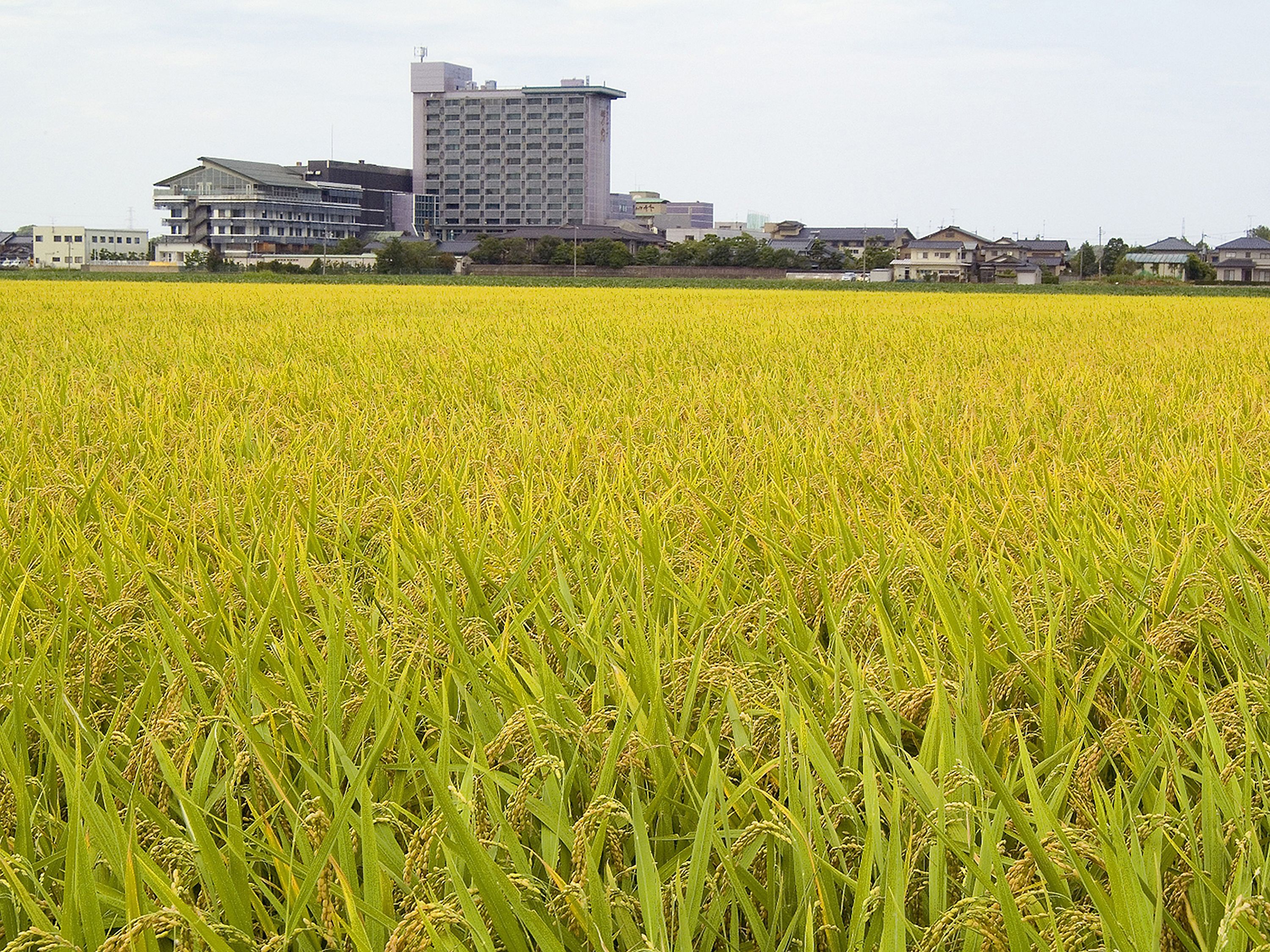 住宿一隅