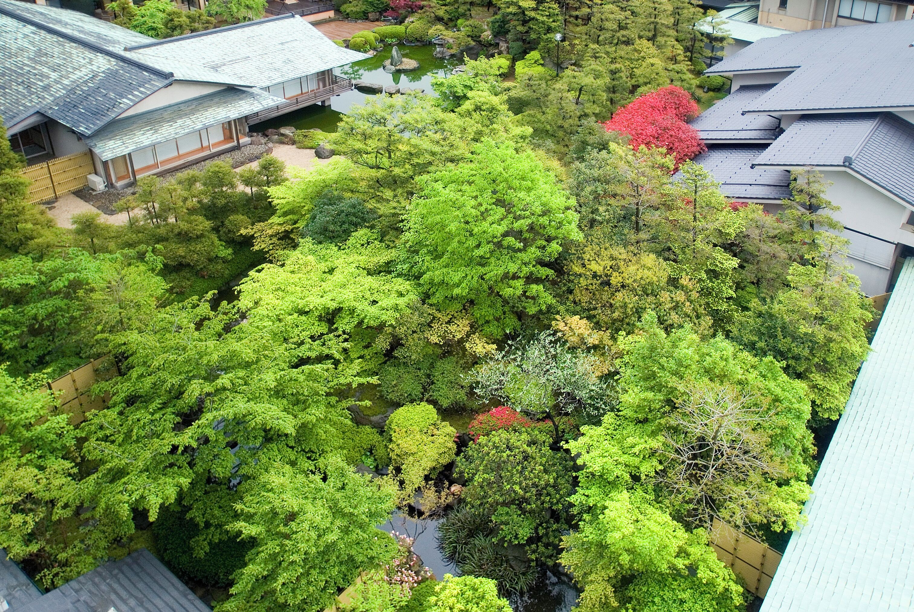 Perinteinen japanilaistyylinen rakennus, jossa on puutarha, lampi ja erilaisia puita.