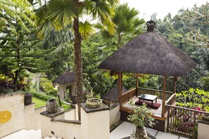 View from property - Alam Ubud Culture Villas & Residences (Tegallalang)