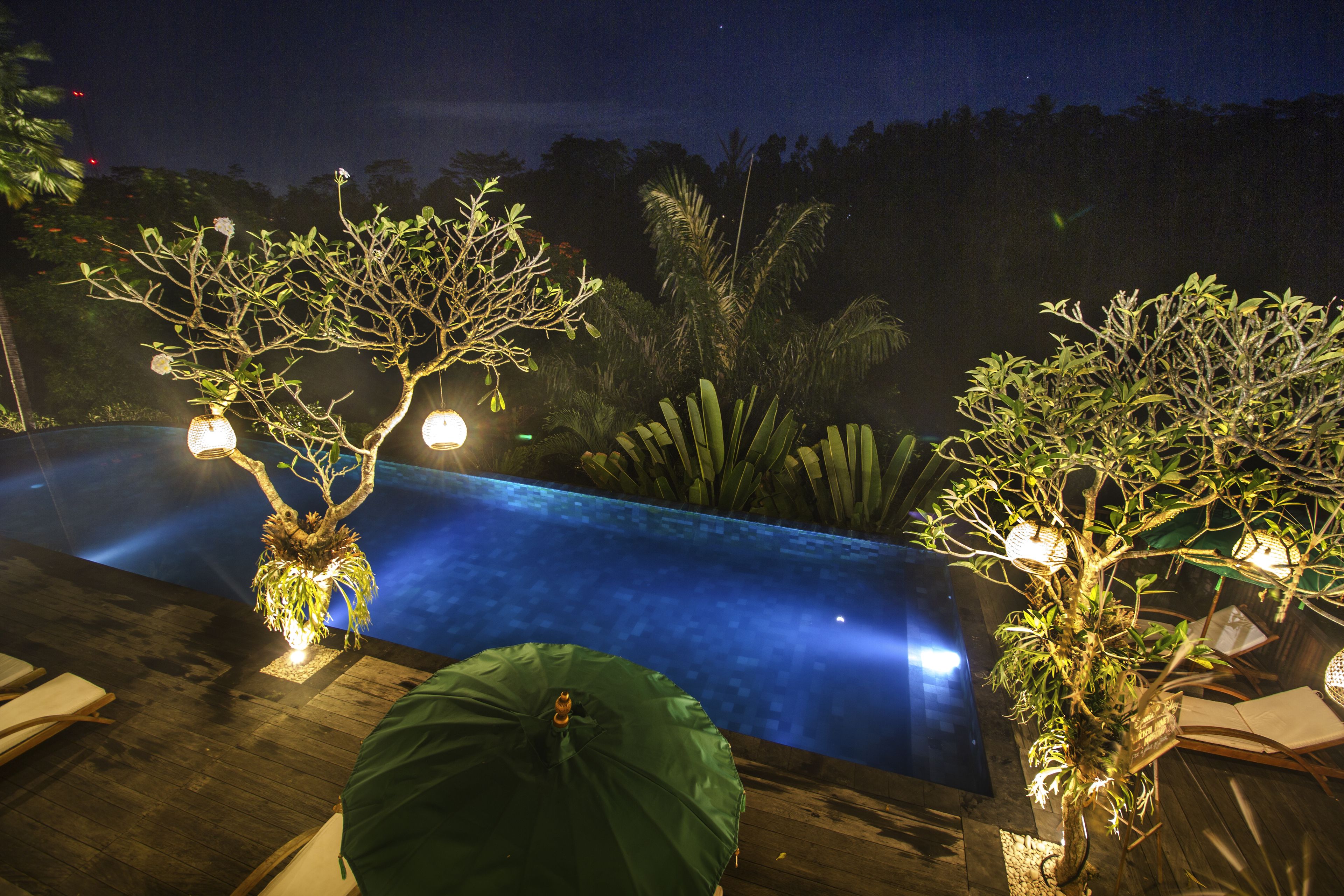 Una piscina infinita con un muelle de madera, rodeada de exuberante vegetación y árboles decorativos.