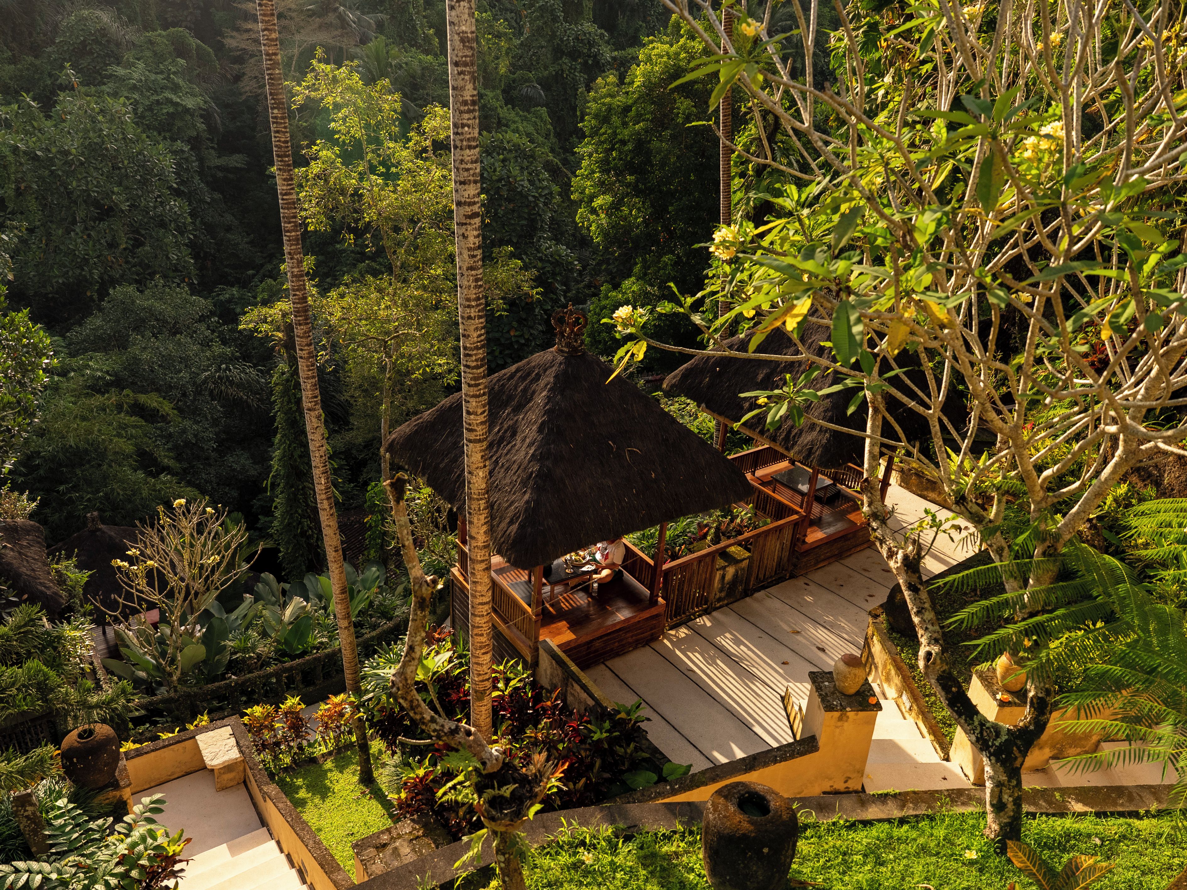 Una estructura con techo de paja y terraza de madera, rodeada de exuberante vegetación y plantas tropicales.