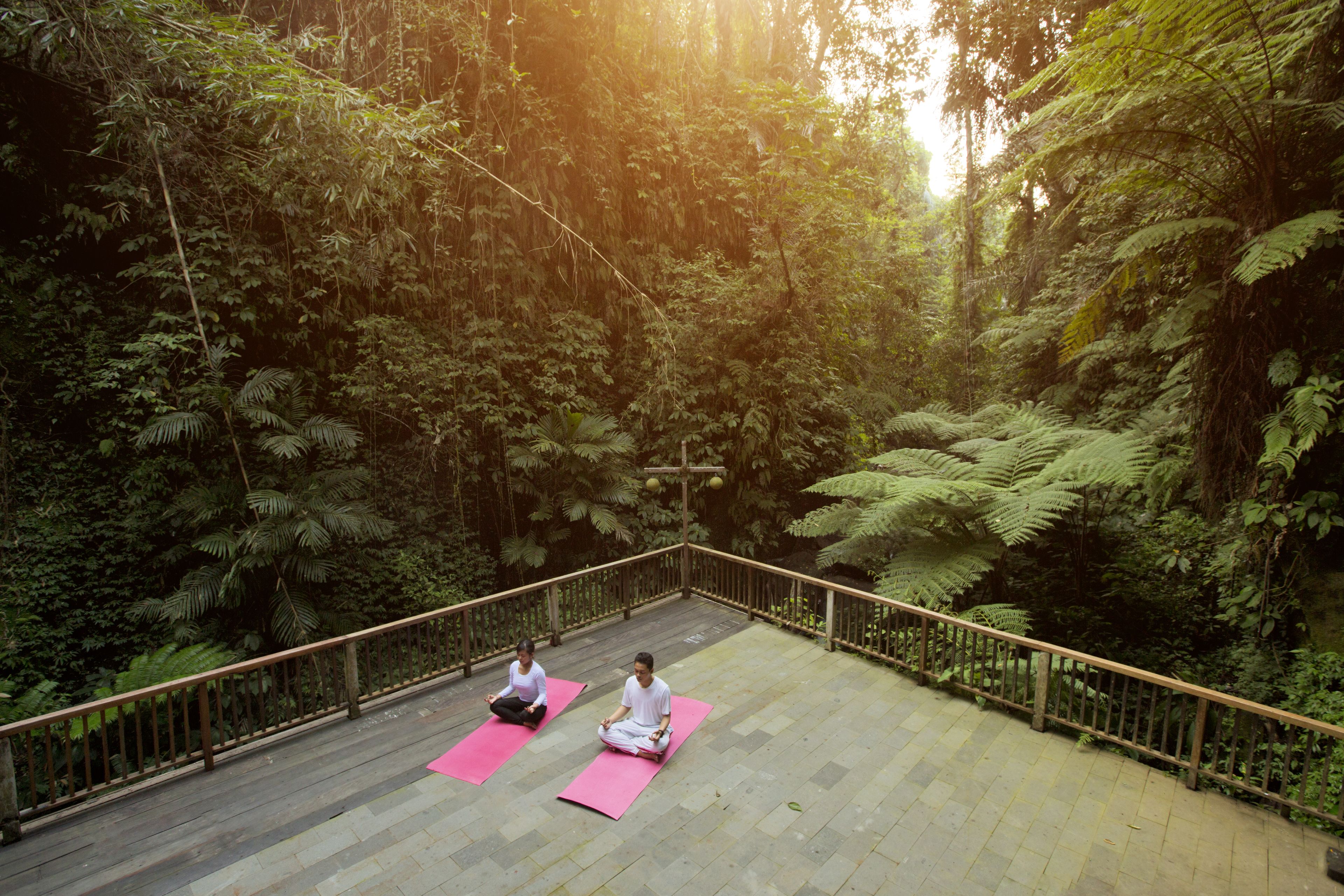 A wooden deck with two individuals meditating on pink mats, surrounded by dense forest.