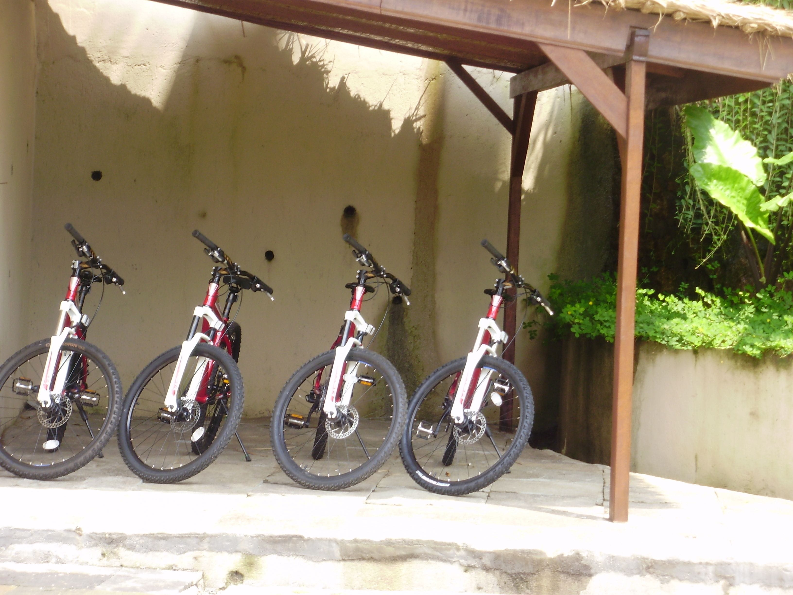 Four bicycles parked under a wooden structure with a concrete wall in the background.