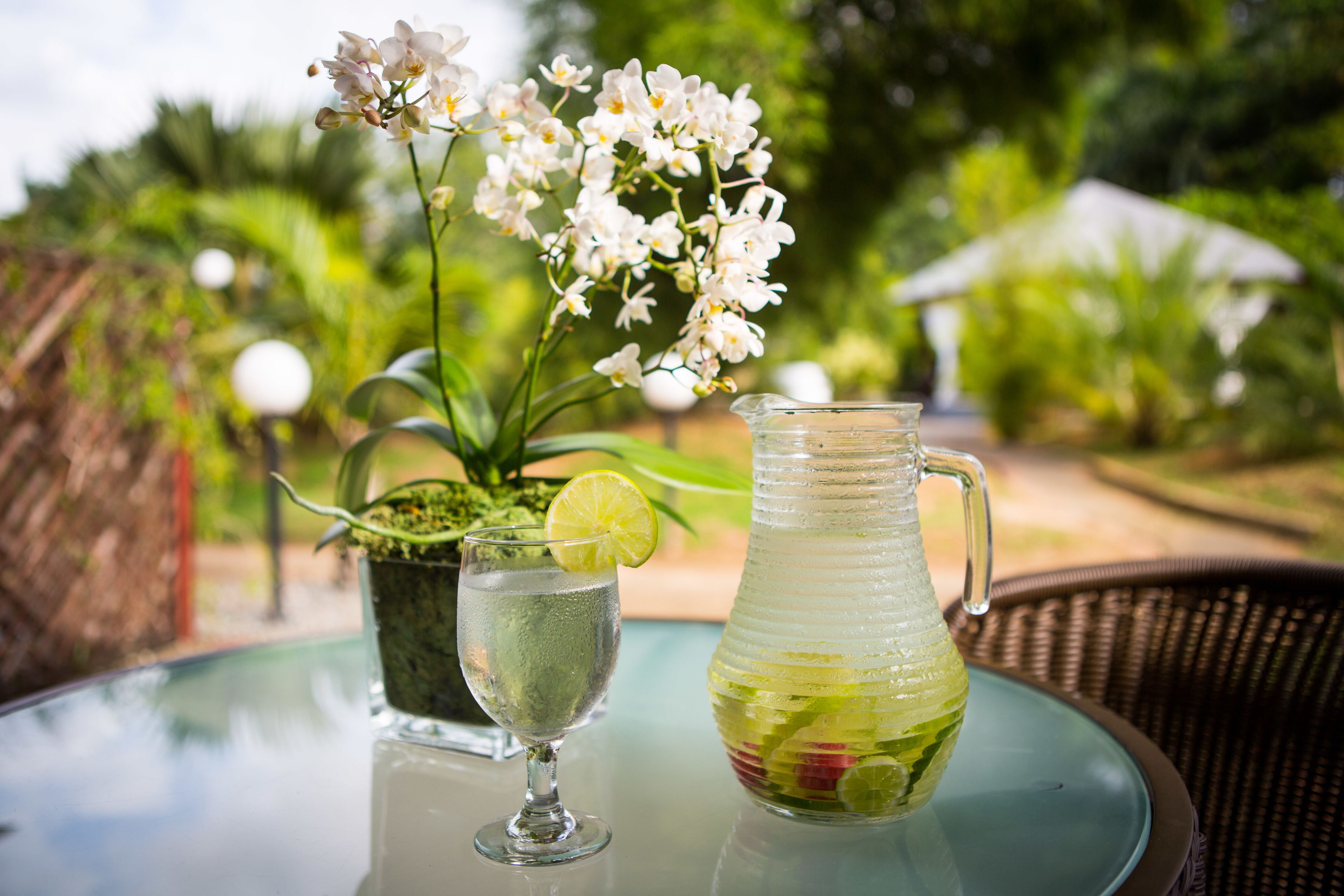 A glass of water with a lime slice on a table, a pitcher with a handle, and a potted orchid plant.