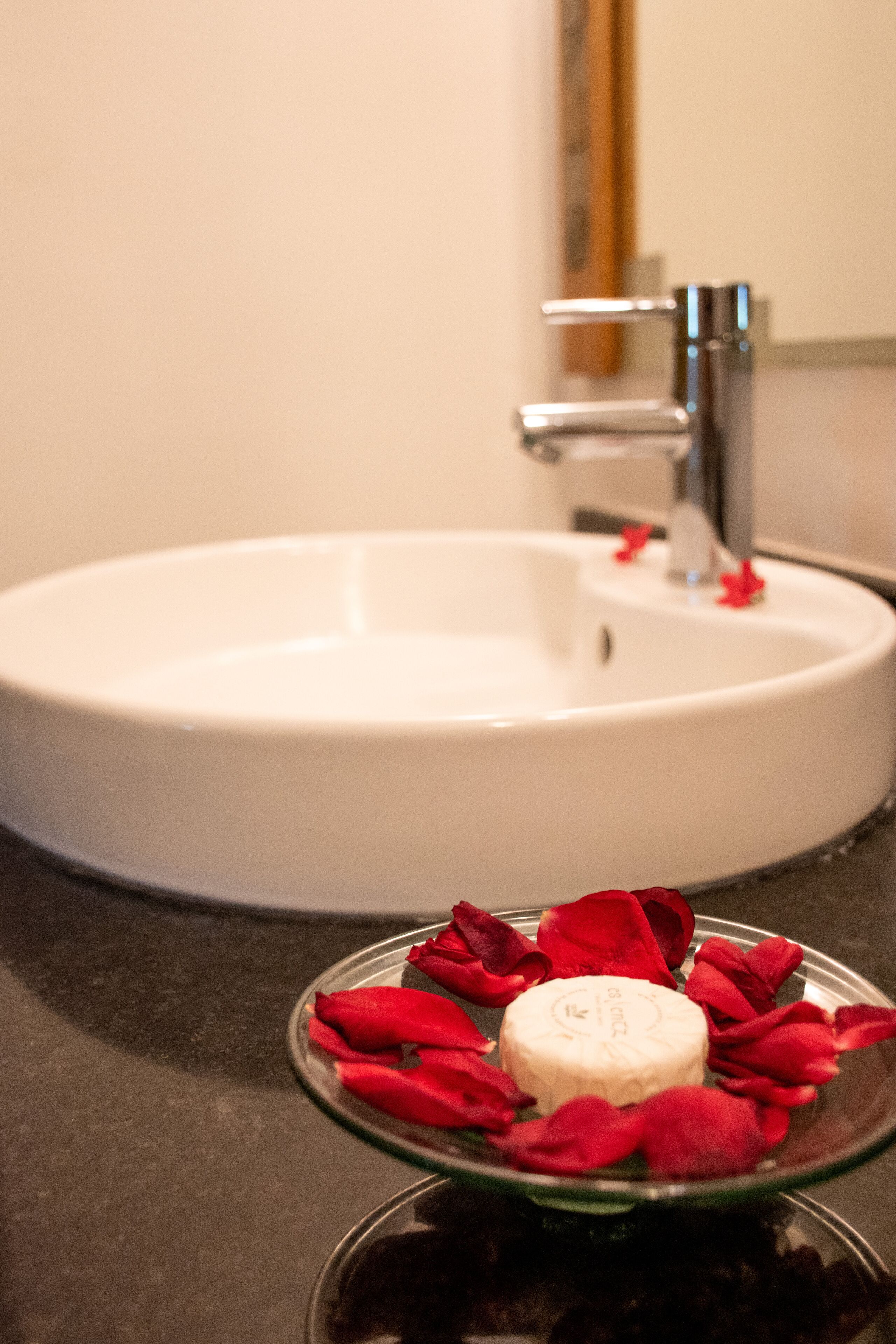 deluxe room, multiple beds (deluxe garden view room) | bathroom | shower, rainfall showerhead, hair dryer, towels