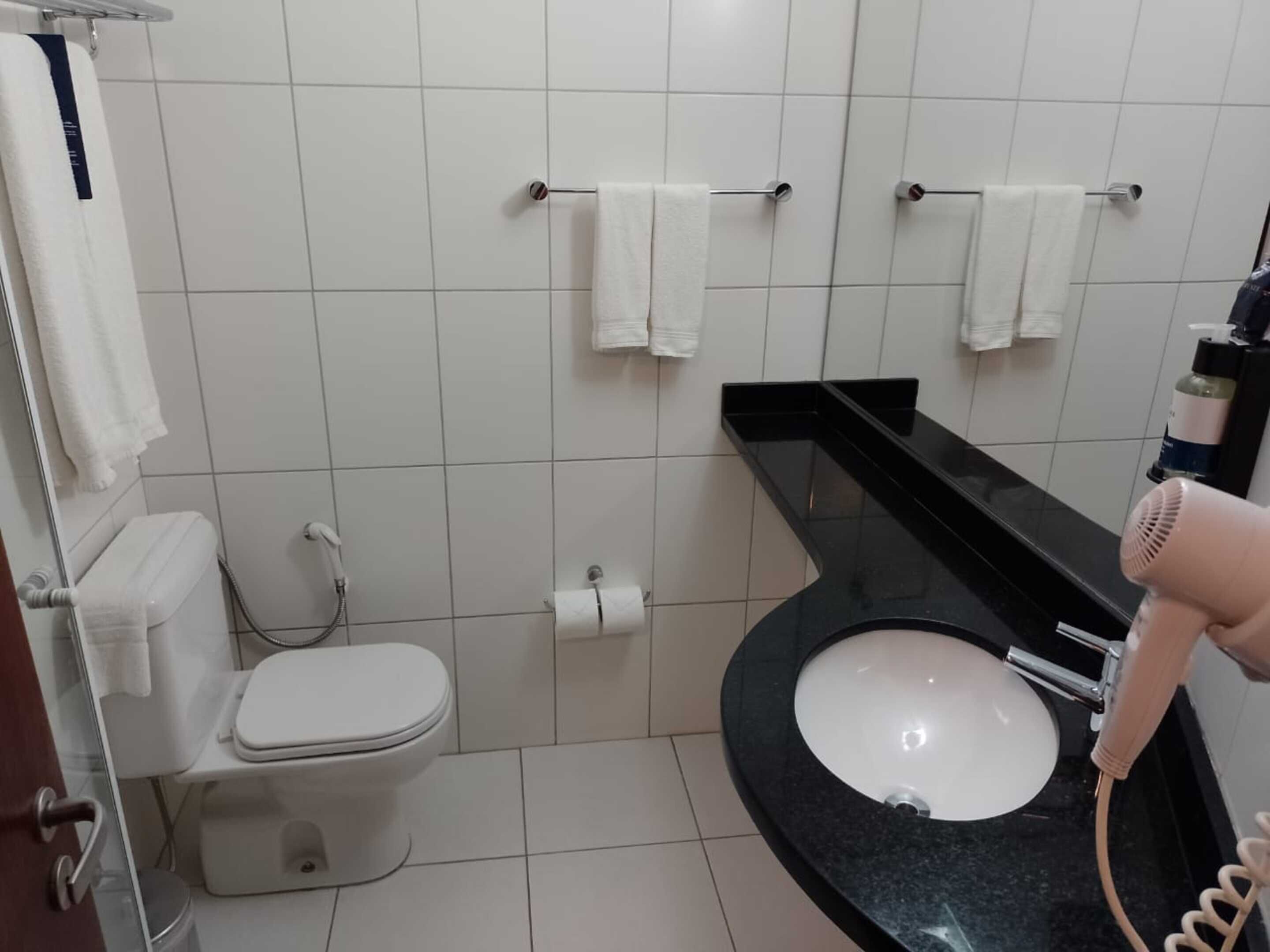 A bathroom with a toilet, a sink, and a hairdryer.