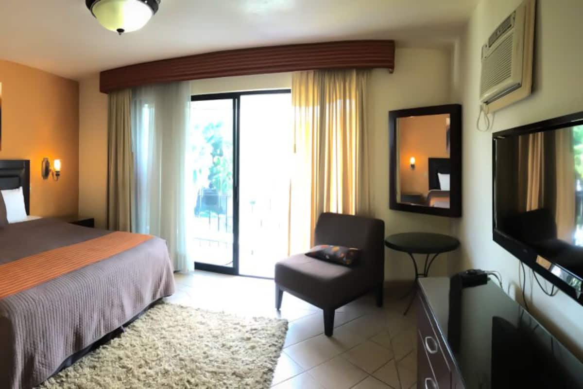A hotel room with a large bed, a TV, a chair, and a view of the outdoors through the window.