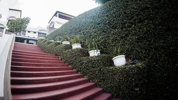 A set of red stairs leading up to a building, surrounded by neatly trimmed hedges and potted plants.