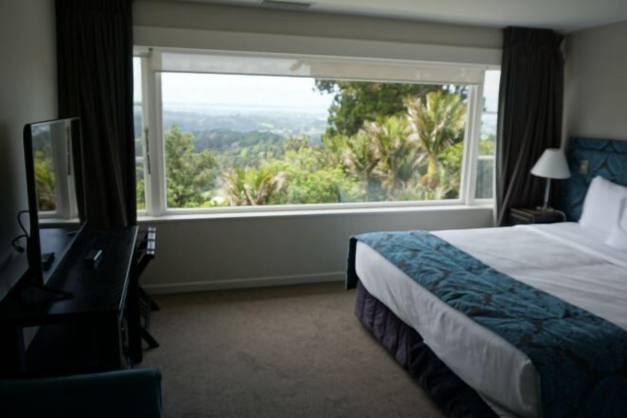 Premium bedding, in-room safe, desk, blackout curtains