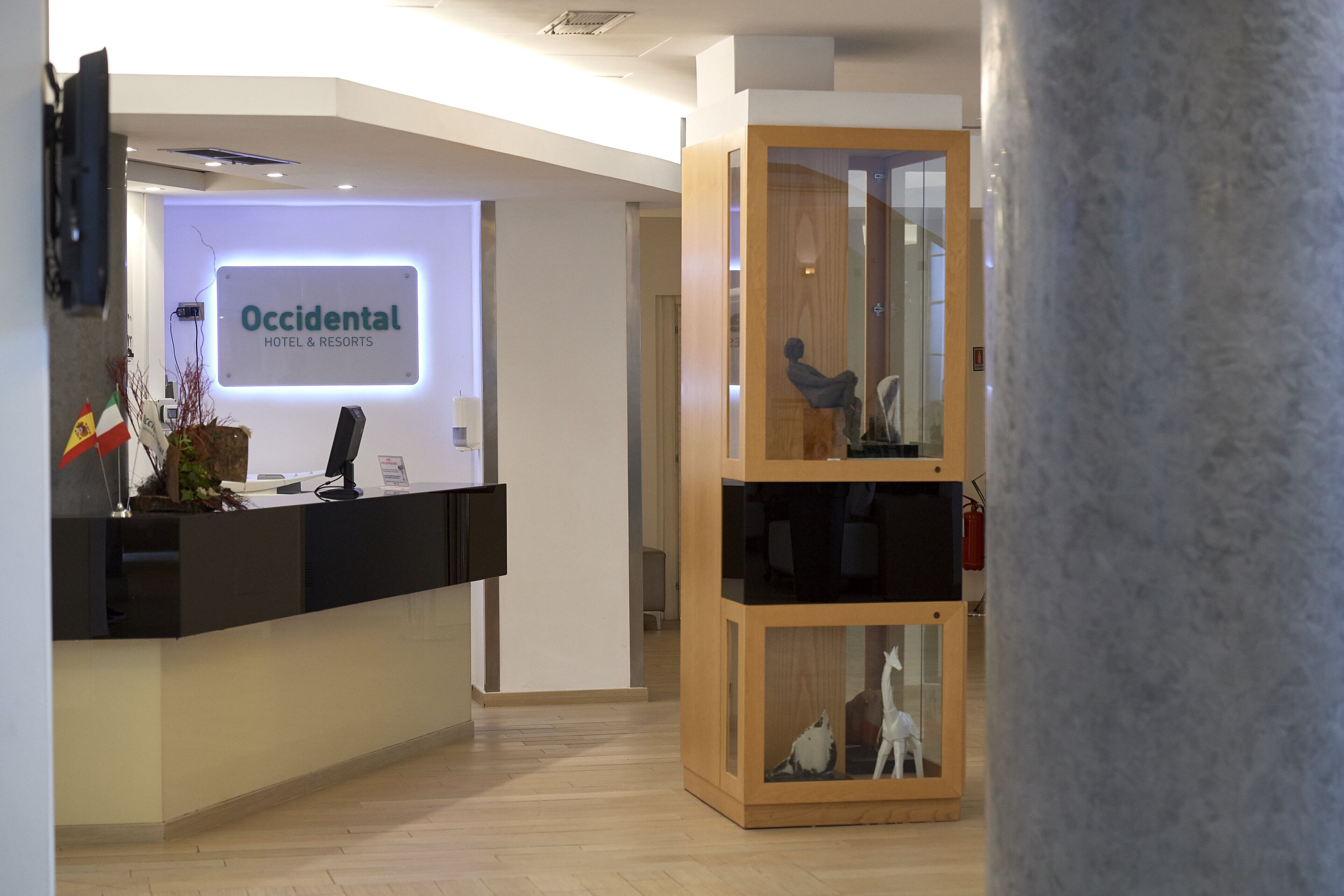 Photo - Occidental Aurelia