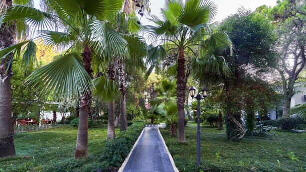 Jardín