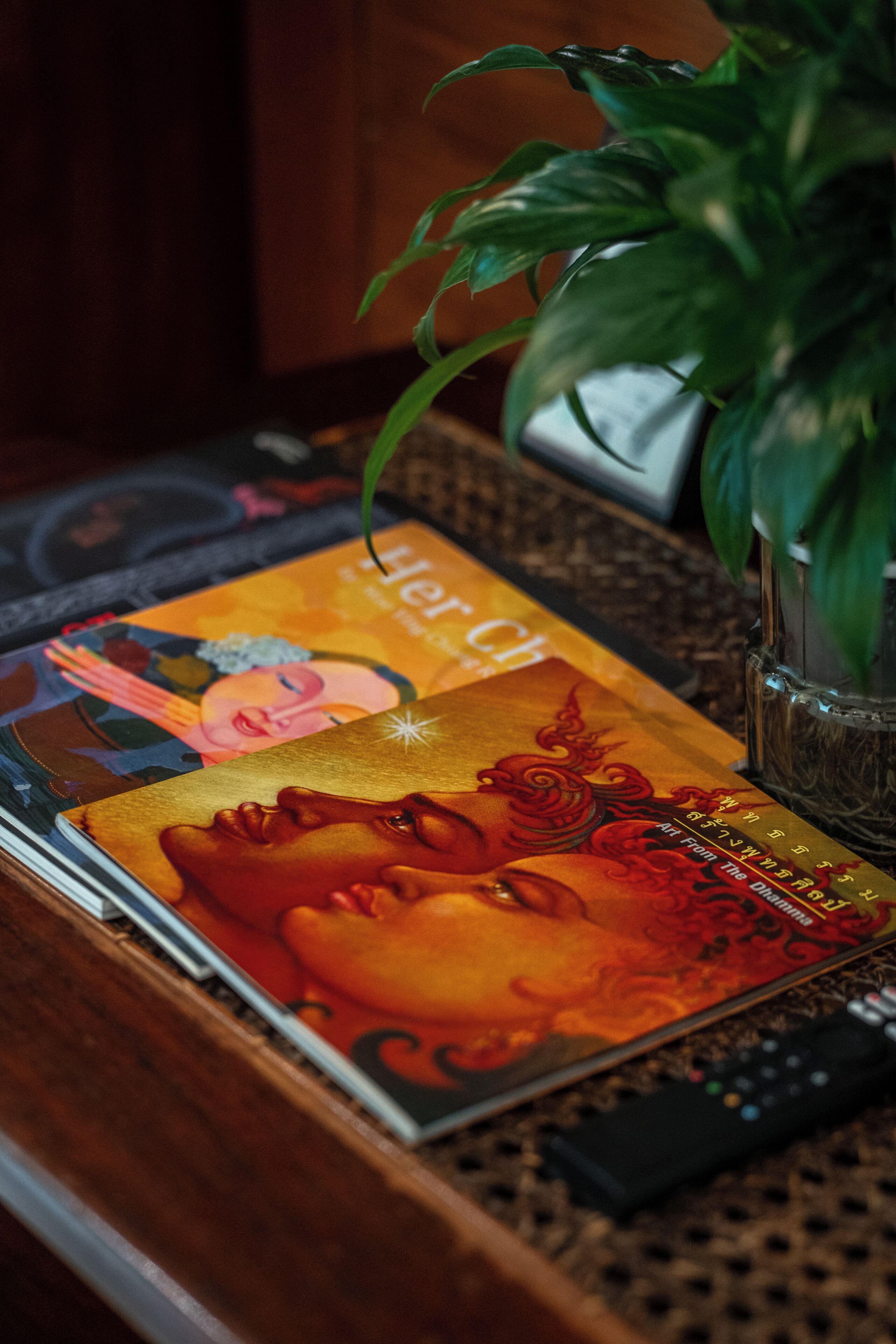Una revista sobre una mesa, con un control remoto y una planta en maceta.