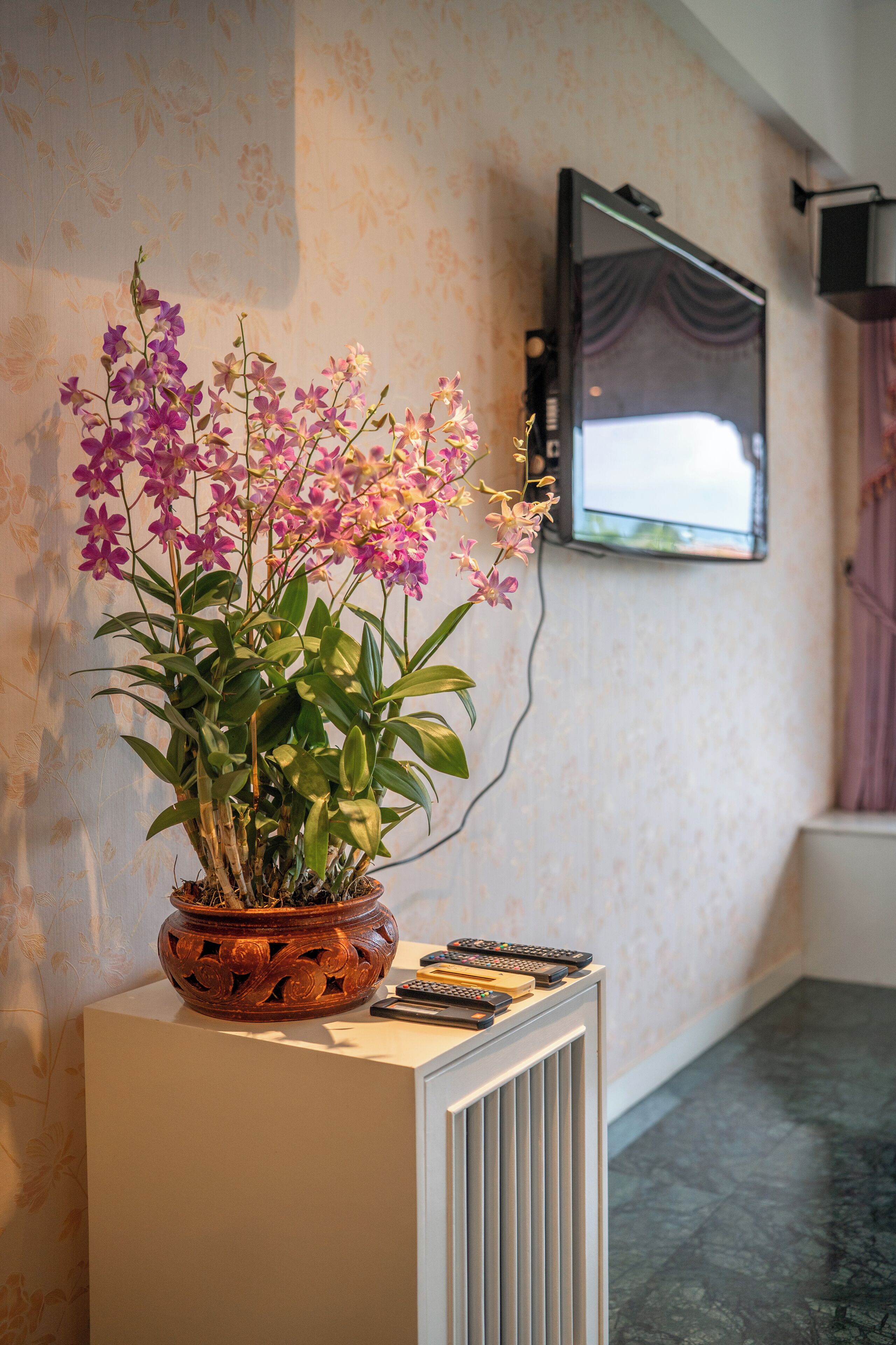 A potted orchid plant on a white pedestal in a hotel lobby with a television mounted on the wall.