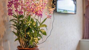 A potted orchid plant on a white pedestal in a hotel lobby with a television mounted on the wall.