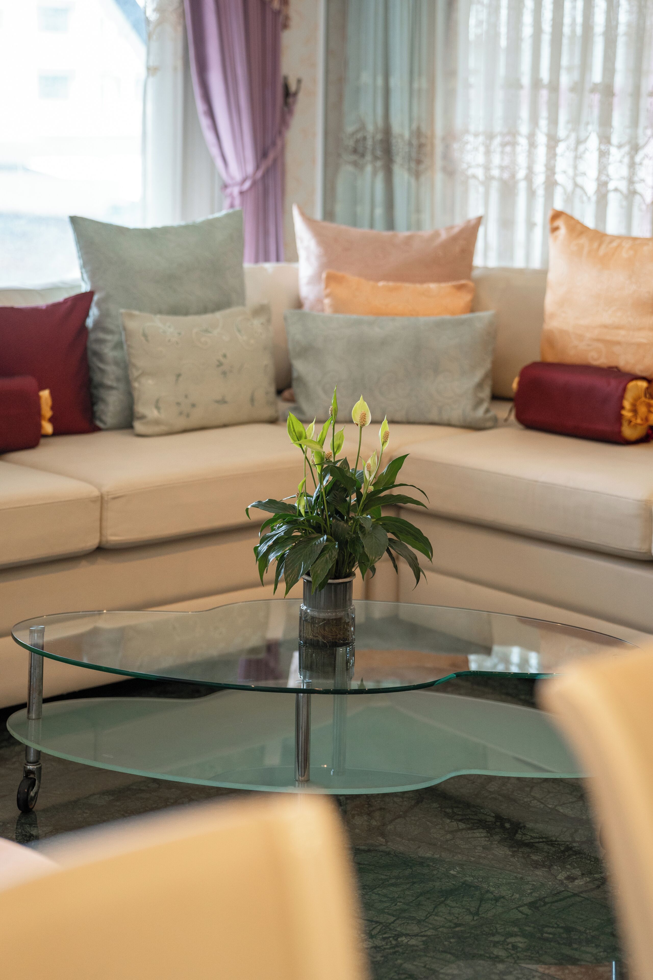 Una sala de estar con una mesa de centro de vidrio, un sofá color beige con cojines estampados y una planta en maceta.