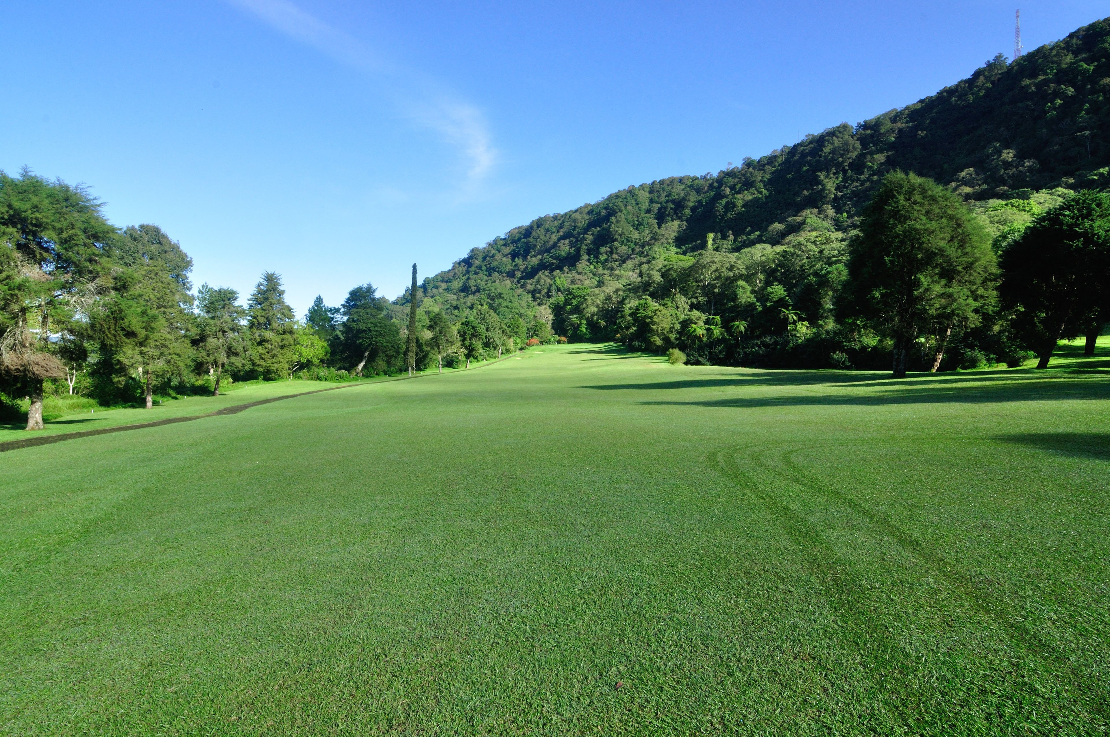 A golf course with a well-maintained green, surrounded by trees and a hill in the background.
