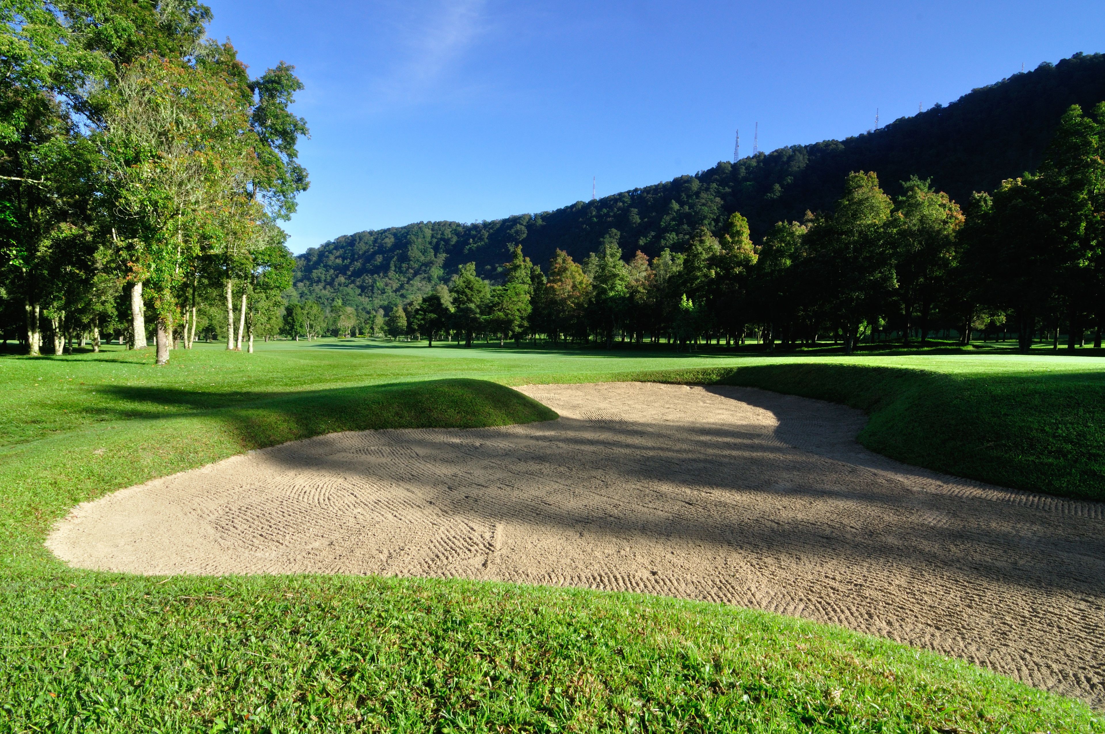 A golf course with sand bunkers, trees, and a hilly background.