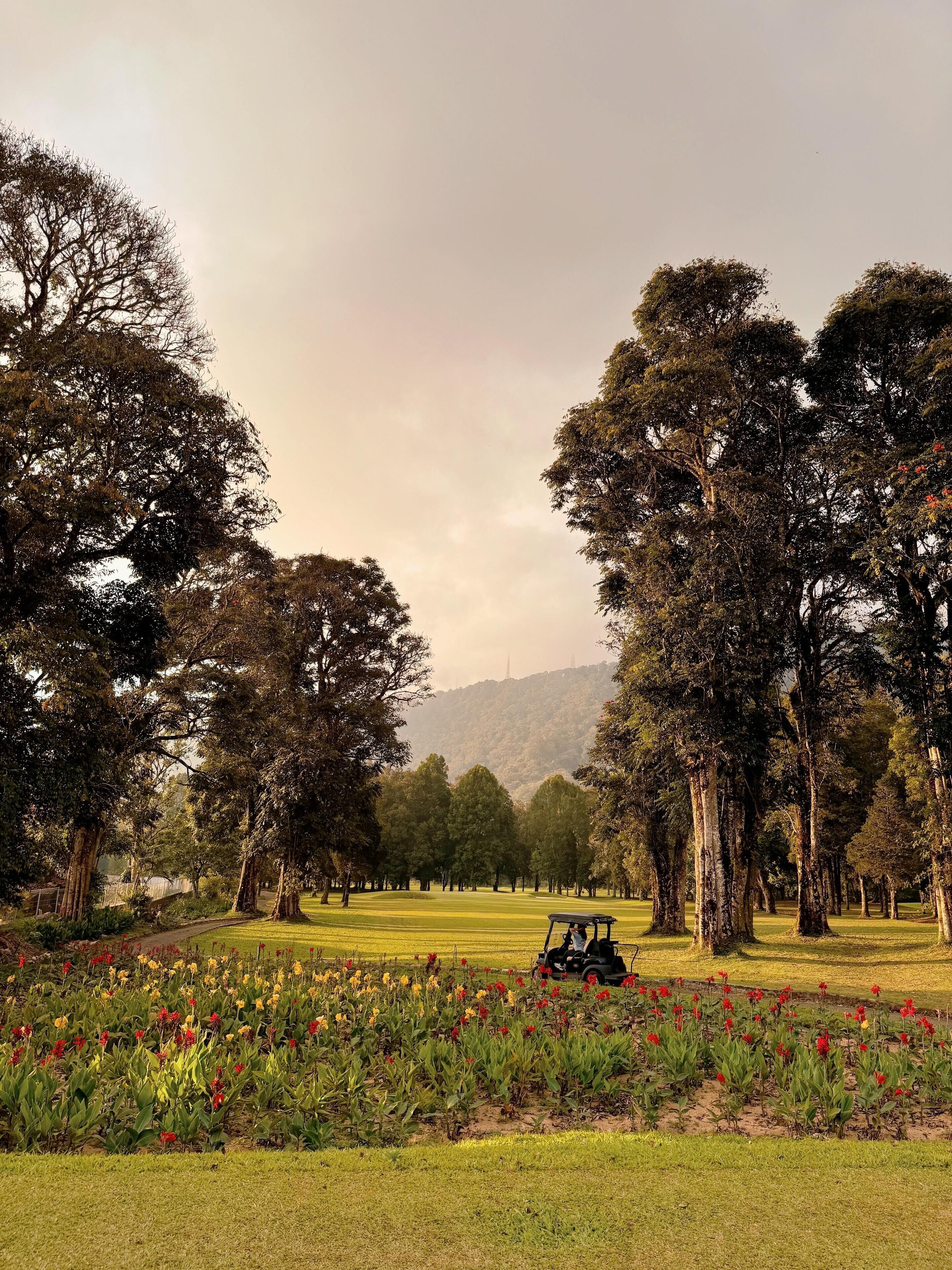 A golf course with a golf cart, surrounded by trees and a field of flowers.