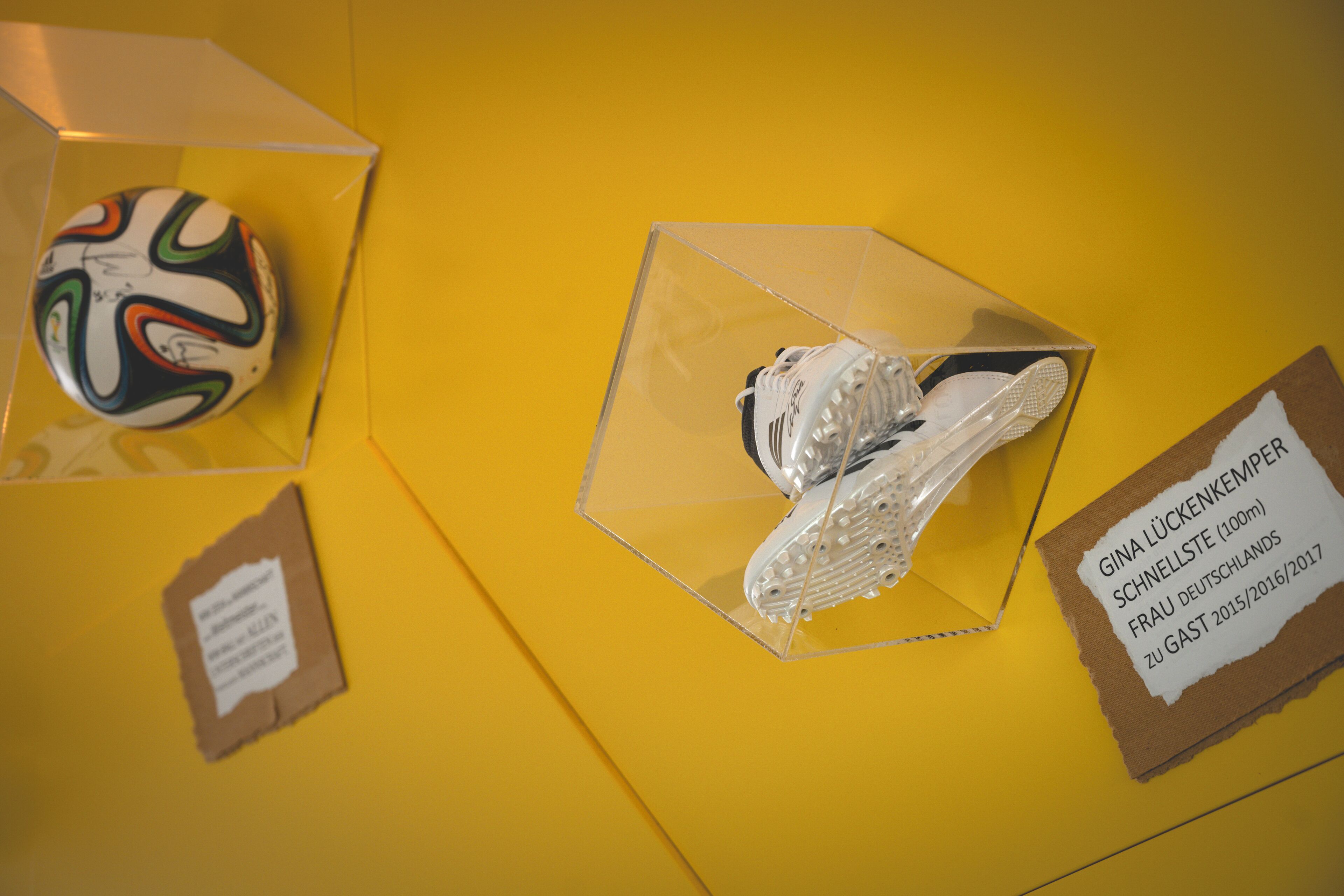 Mostra d'equipament esportiu, incloent una pilota de futbol i un parell de sabatilles esportives, presentats en vitrines transparents sobre un fons groc.