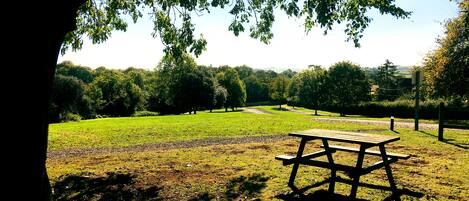 A picnic table in a park with a grassy field and trees in the background.
