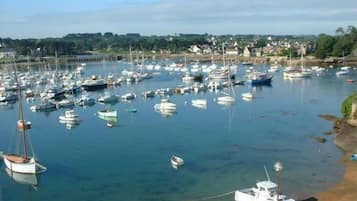 A marina with numerous boats docked.