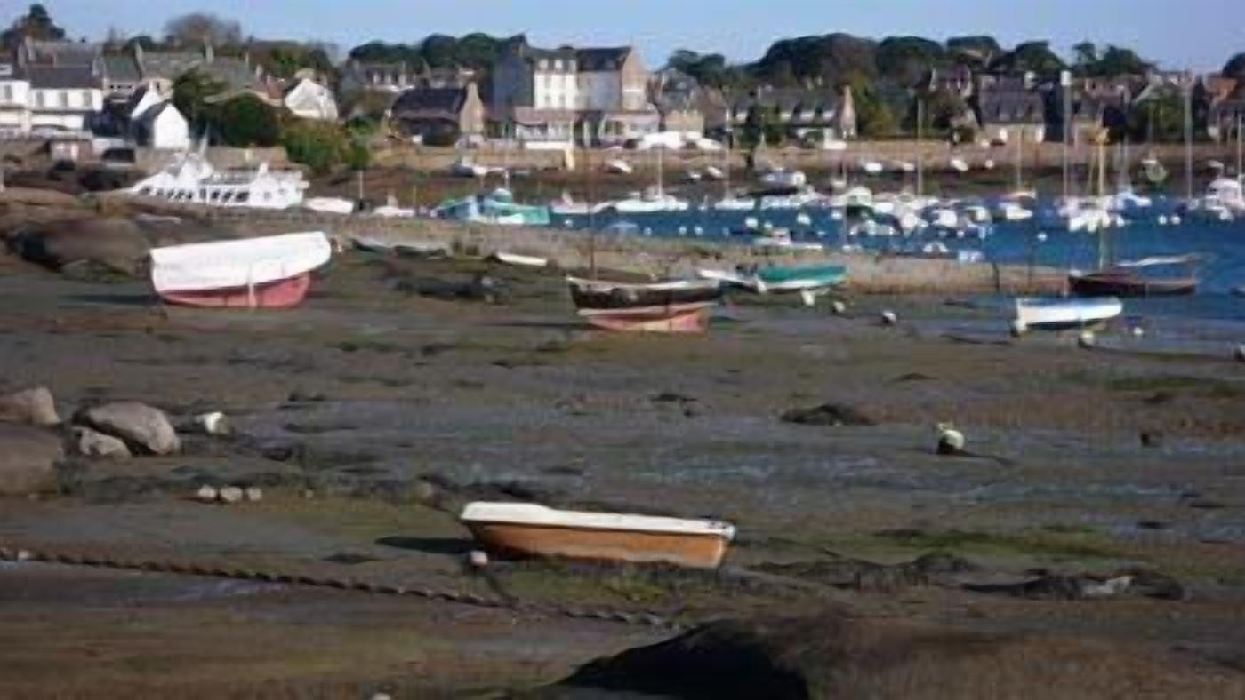 A coastal area with boats moored on the shore and a few buildings in the background.