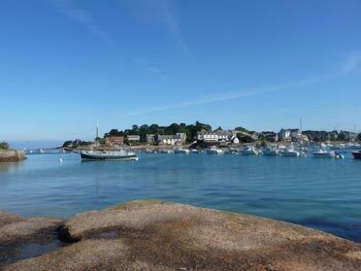 A coastal town with a marina filled with boats, buildings along the shore, and rocky terrain in the foreground.