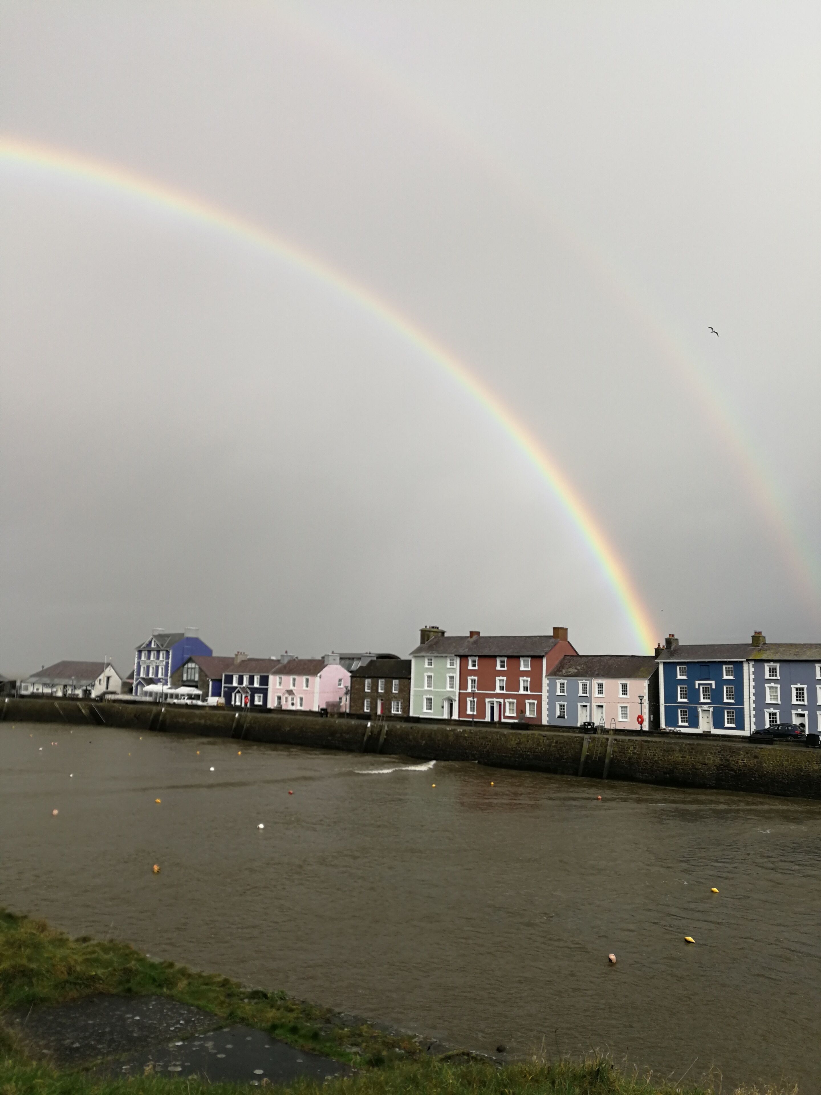 Une vue sur le bord de l’eau, avec des bâtiments le long de la côte et un arc-en-ciel dans le ciel.