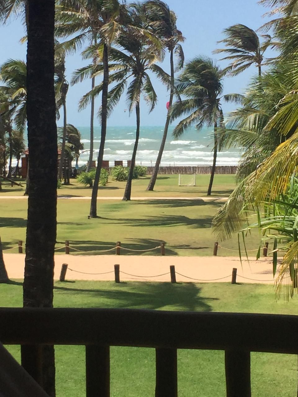Vista de una playa con palmeras y un área cercada.