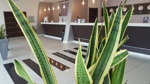 Zona de recepción con mostrador de entrada, una planta en maceta y suelo de baldosas.
