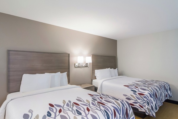 Deluxe Room, 2 Queen Beds, Accessible, Non Smoking (Roll-In Shower) | Desk, laptop workspace, blackout drapes, iron/ironing board
