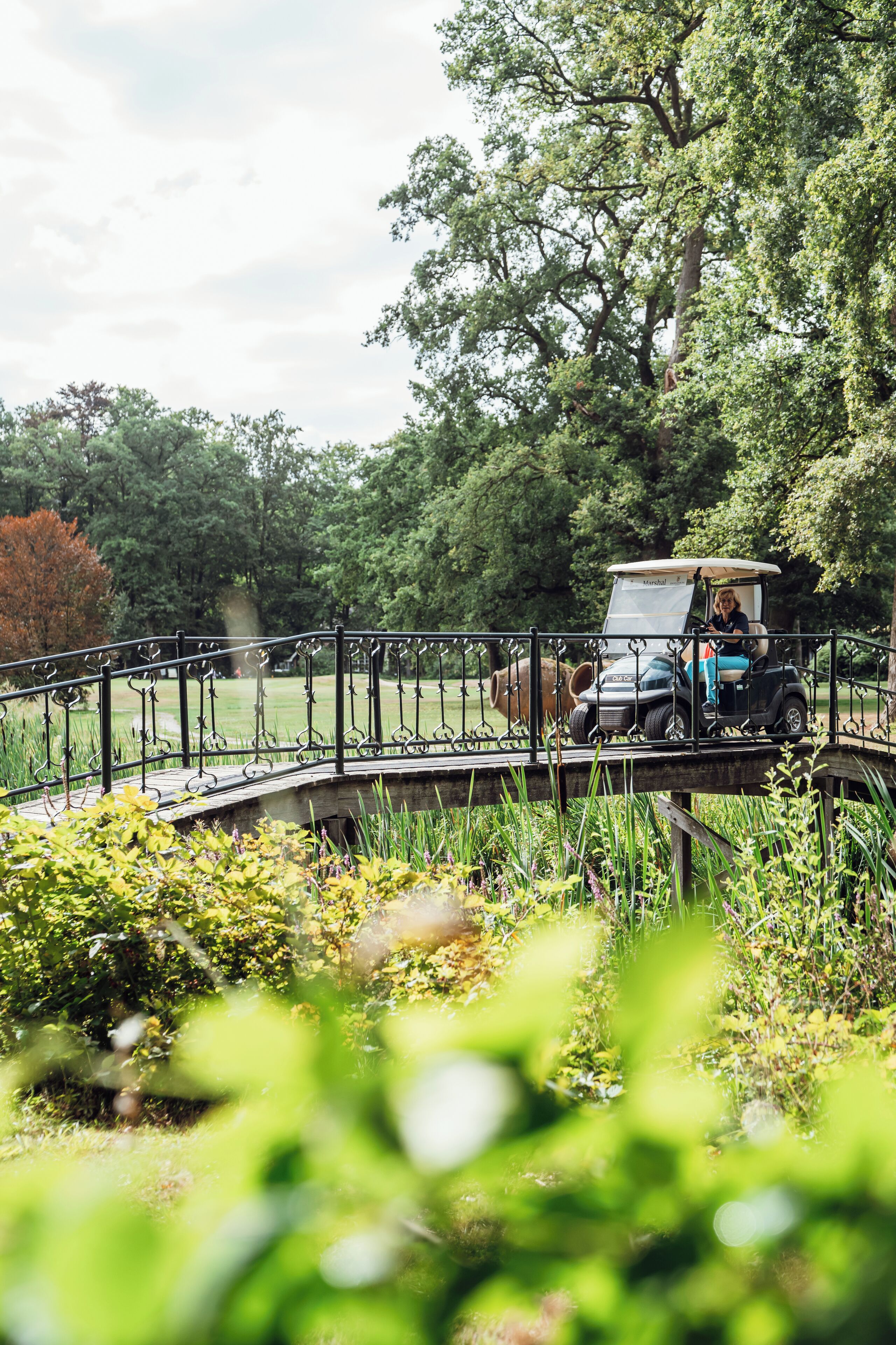 A golf cart on a bridge in a park with trees and greenery.