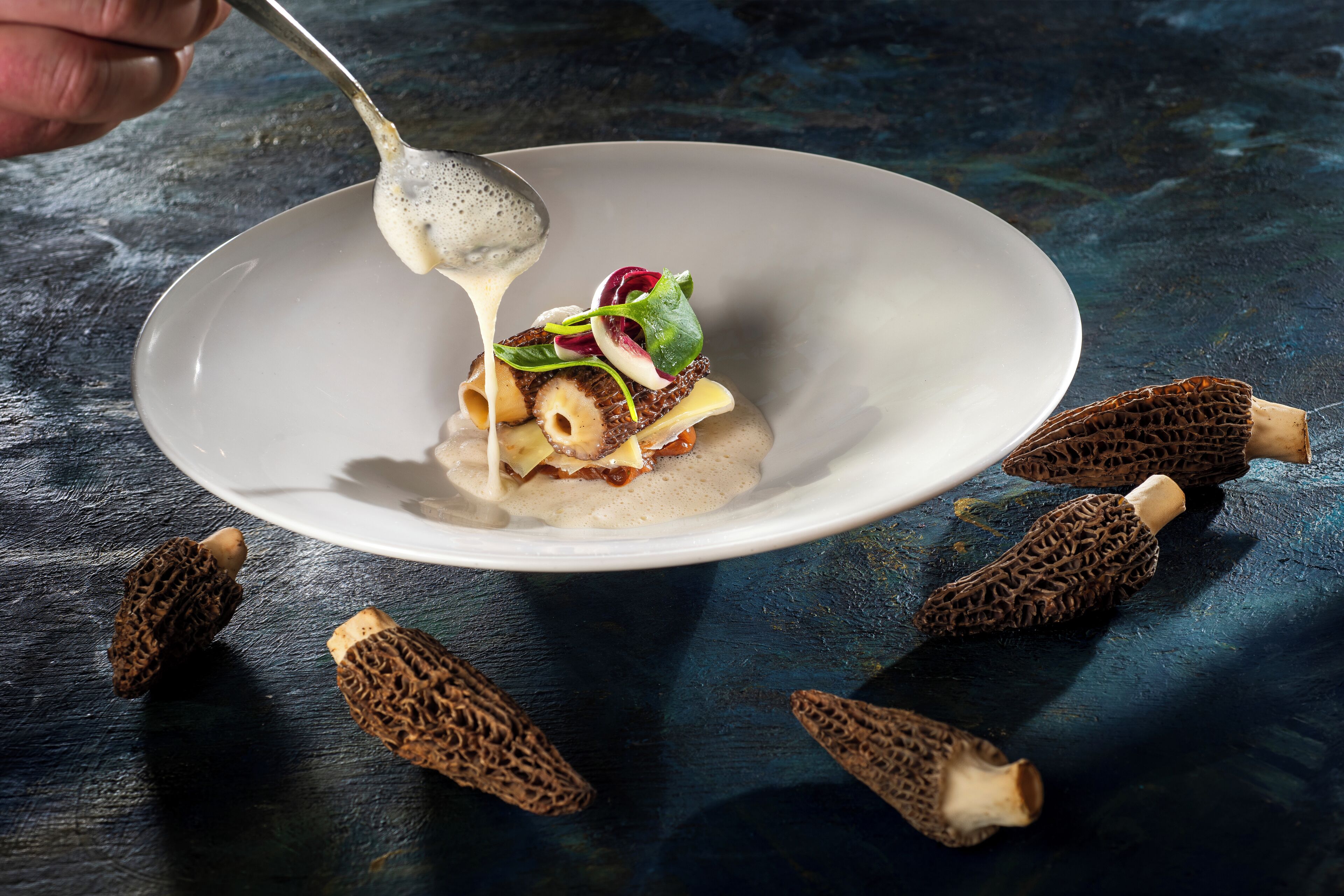 Un plato blanco con una cucharada de salsa cremosa, ensalada y hongos morillas.