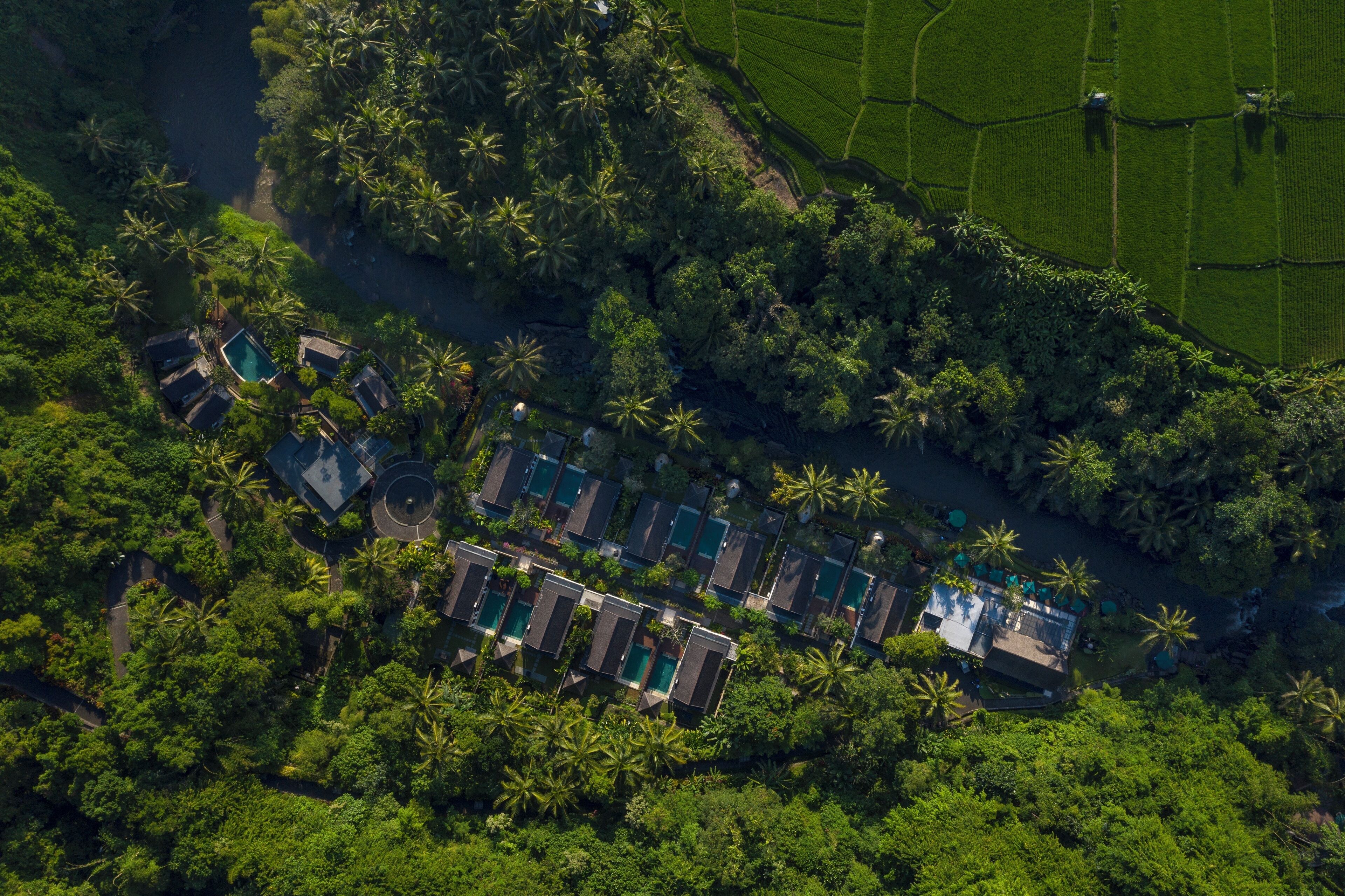 Photo - The Samaya Ubud Bali