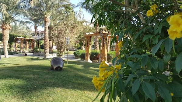 A garden with palm trees, a gazebo, and yellow flowers.
