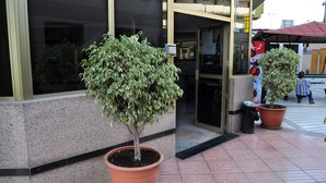 Entrada de prédio com duas plantas em vasos, uma lixeira e uma pessoa de camisa listrada se afastando.