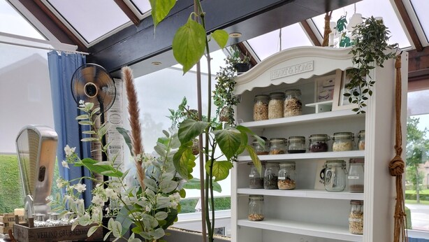 A kitchen counter with a coffee machine, a potted plant, and a shelf with jars. - Hotel Butler (Zuienkerke)