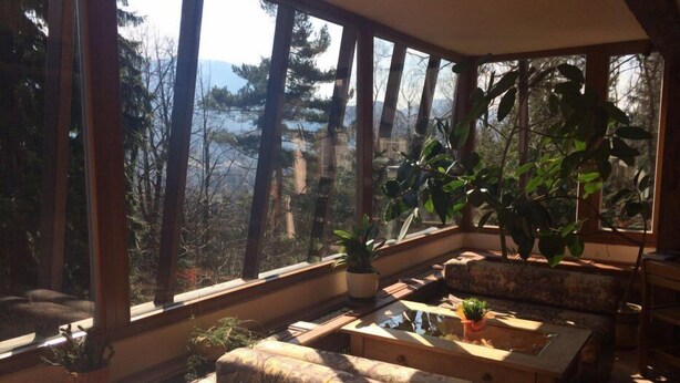 Una habitación luminosa con ventanas amplias, un sofá, una mesita de centro y varias plantas en macetas.