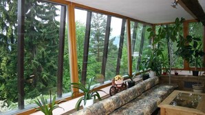 Una habitación con ventanas amplias, un sofá y varias plantas en macetas.