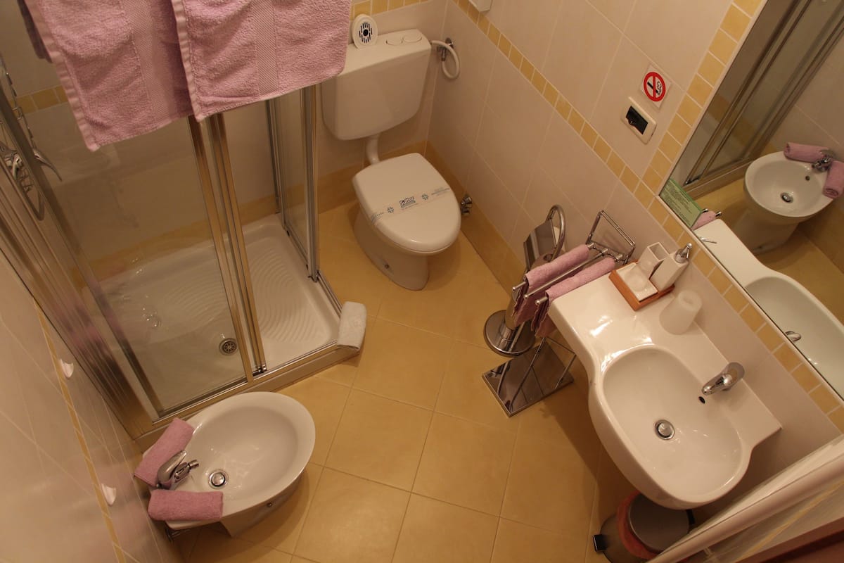 shower, hair dryer, bidet, towels