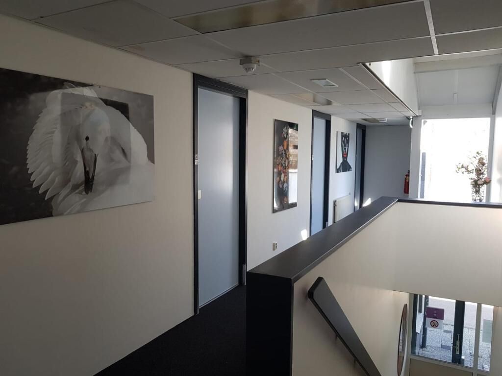 A modern interior with a long corridor, a large white wall with a bird painting, and a window with a view of the outside.