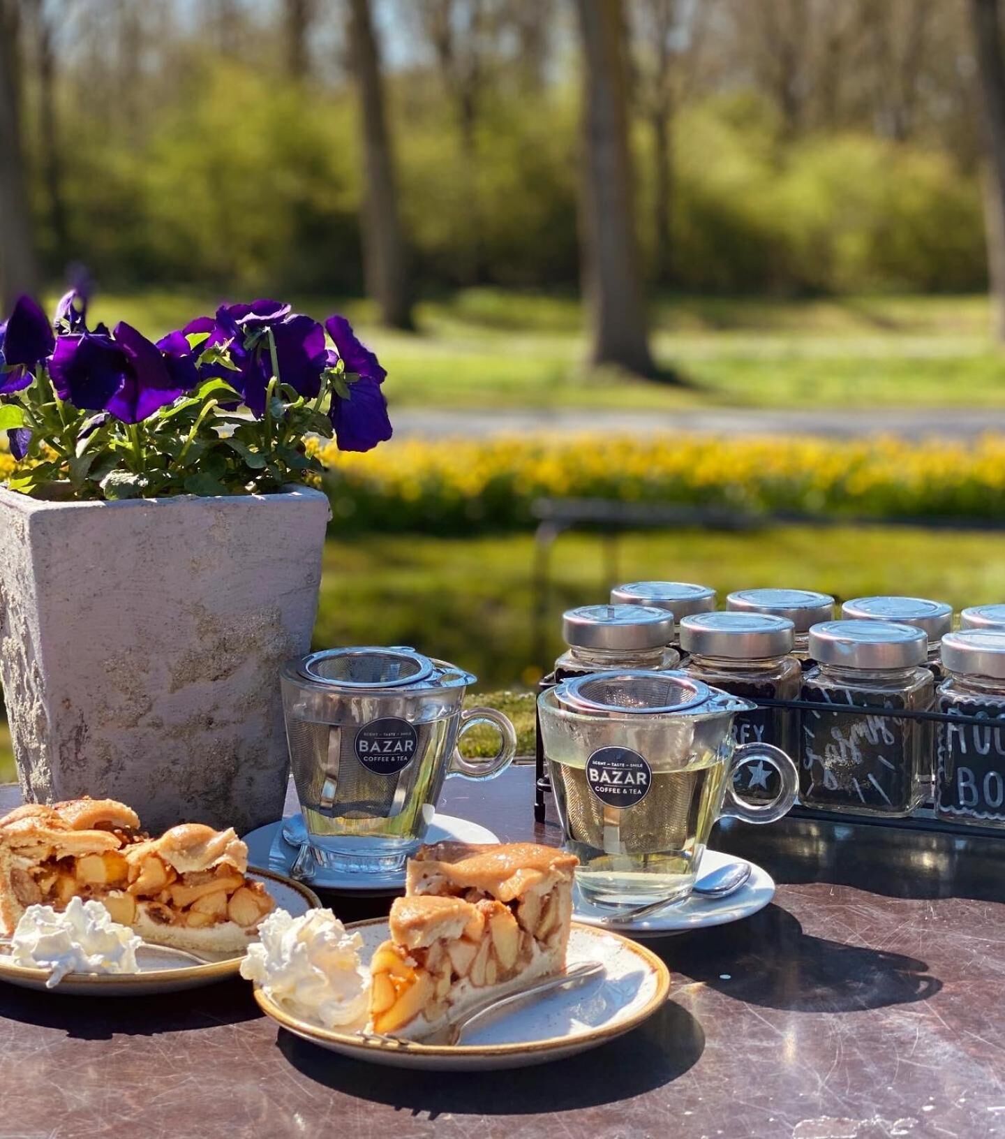 Un montaje para picnic con diversos alimentos, entre ellos tartas y una maceta de flores, sobre una mesa al aire libre.