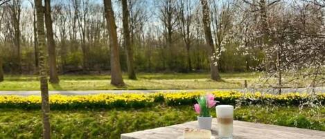 A picnic table with a cushion and a glass of beverage, surrounded by a park with trees and a flower bed.