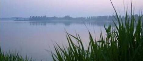 A calm lake with a distant shoreline and overcast sky.
